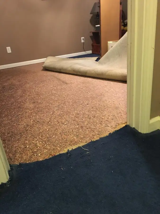 Carpet pad removal revealing water damage during Water Mitigation Services in Harrison